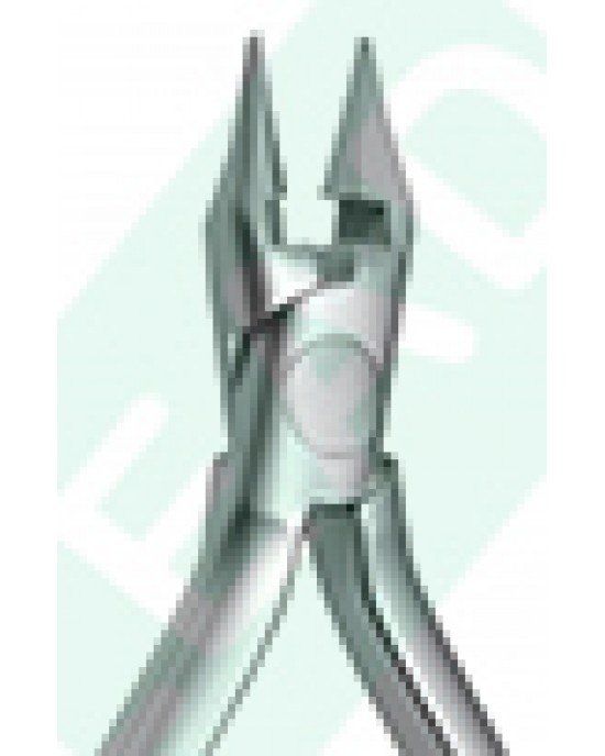 Bird Beak Pliers with Cutter